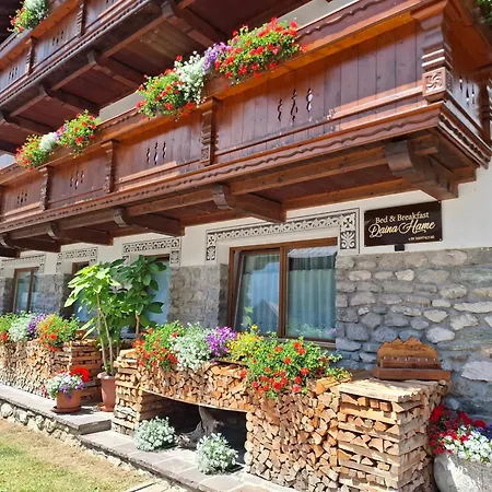 B&B Daina Hame-2
